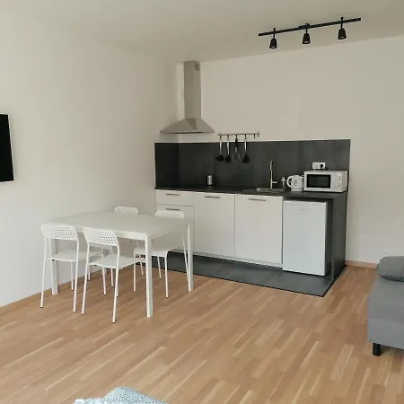 Brand New #62 With Free Secure Parking In The Center Apartment *